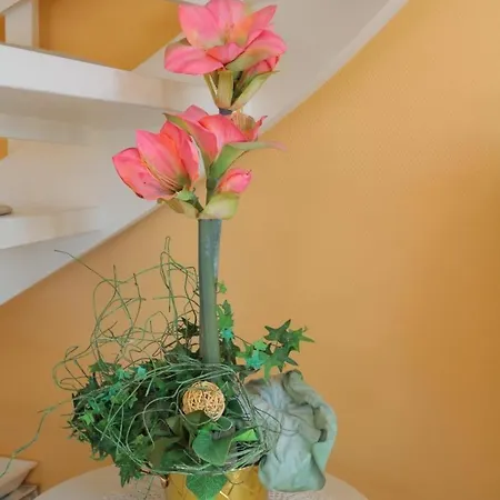 Fewo-klotz-stranduebergang-kaeptn-christiansen Appartement